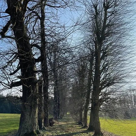 Chateau De Trebons לינה וארוחת בוקר Grainville-Ymauville