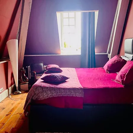 Chateau De Trebons Bed and Breakfast 3*